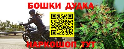 трава Кингисепп