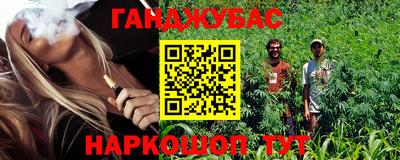 трава Кингисепп