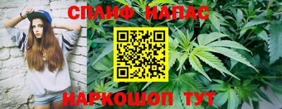трава Кинель
